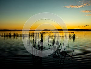 Fishing net in the Albufera de Valencia Spain, sunset photo